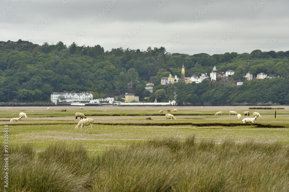 Dwyryd Estuary