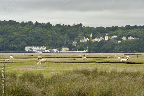 Obraz na płótnie Dwyryd Estuary w salonie