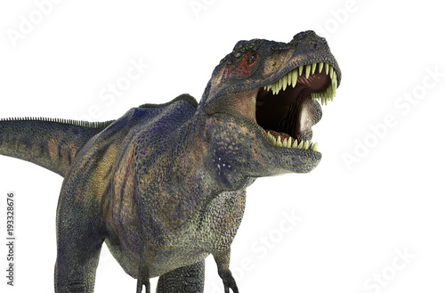 3D Illustration of a Dinosaur Tyrannosaurus Rex on white background © de Art