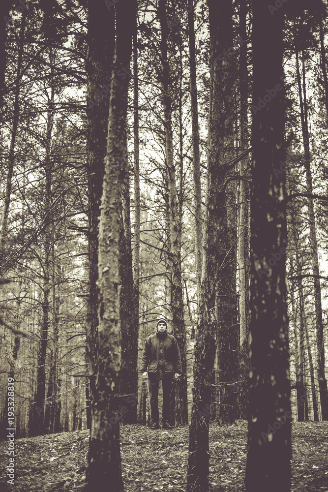 Fototapeta premium A lonely guy in a pine forest in the autumn time. Monochrome photo