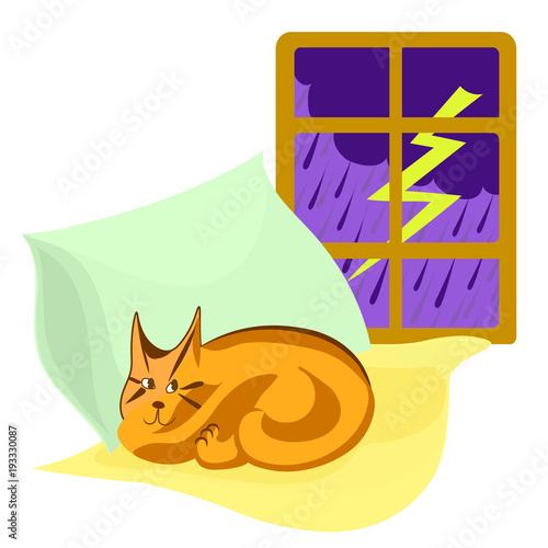 Thunderstorm outside window, cat sleeps on pillows. Vector cartoon color image.
