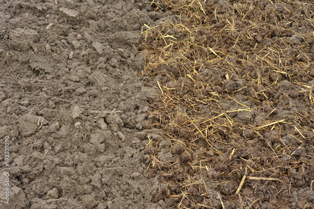 Soil