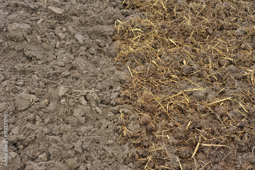 Obraz na płótnie Soil w salonie