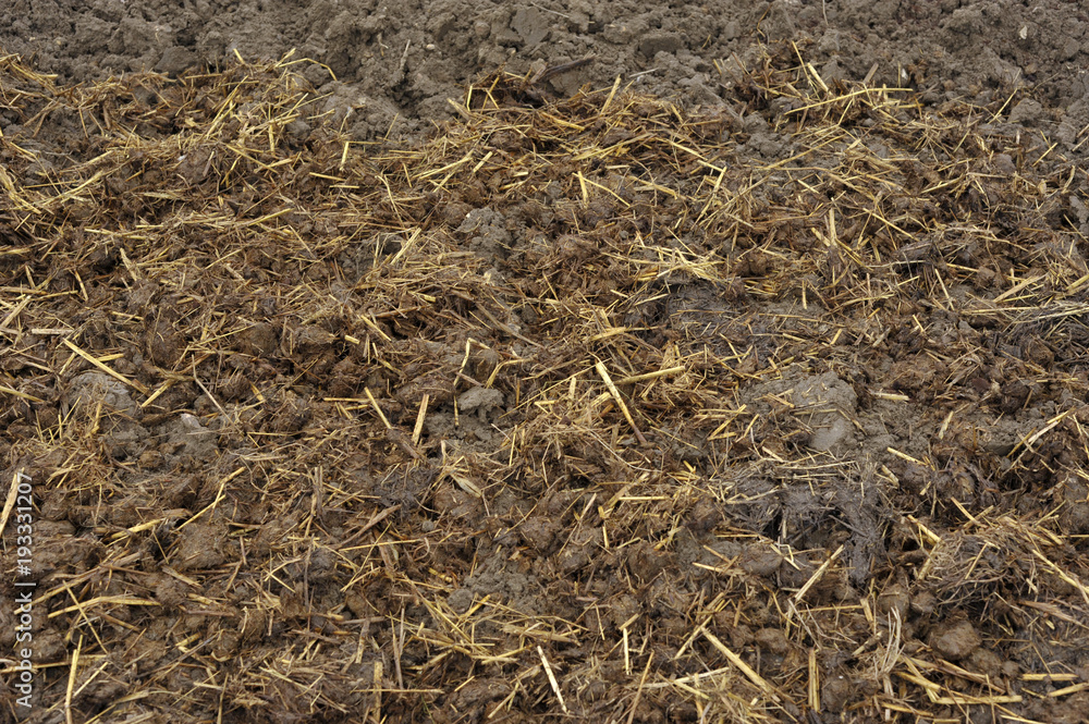 Soil