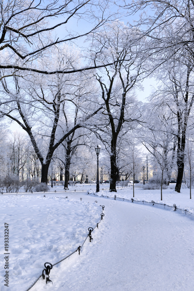 path in the Park among the trees in the snow, snow, winter path in the Park among the trees in the snow, snow, winter