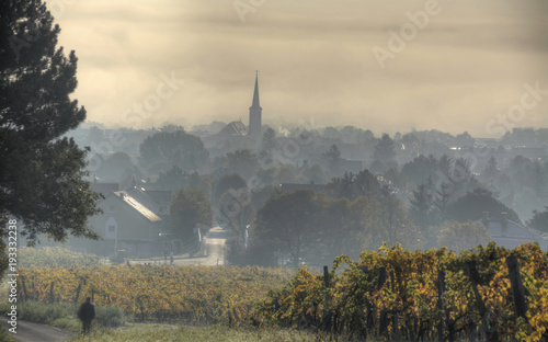 Guntramsdorf im Nebel