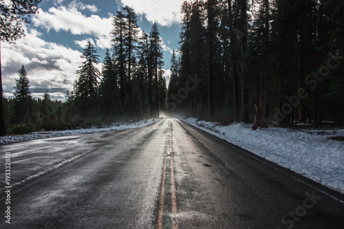 Lonely road in a forest.
