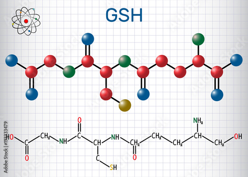 Glutathione (GSH) molecule, is an important antioxidant in plants, animals and some bacteria. Structural chemical formula and molecule model. Sheet of paper in a cage