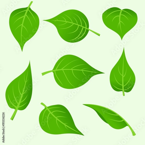  set of spring leaves