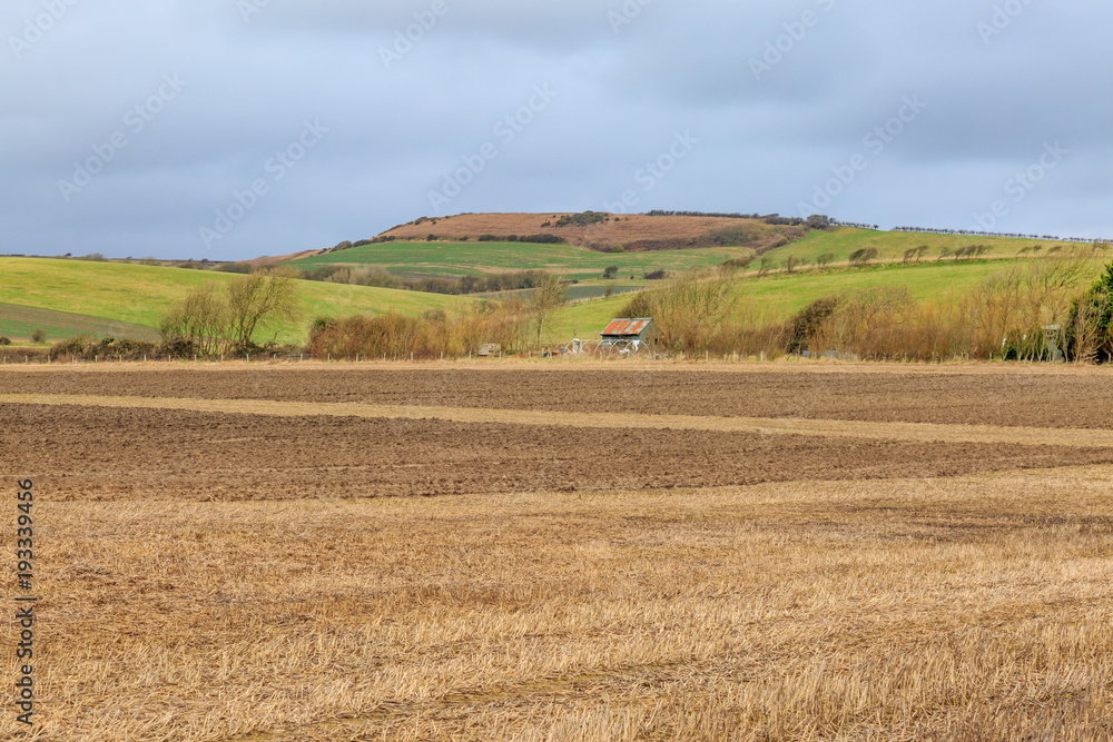 Rural Landscape