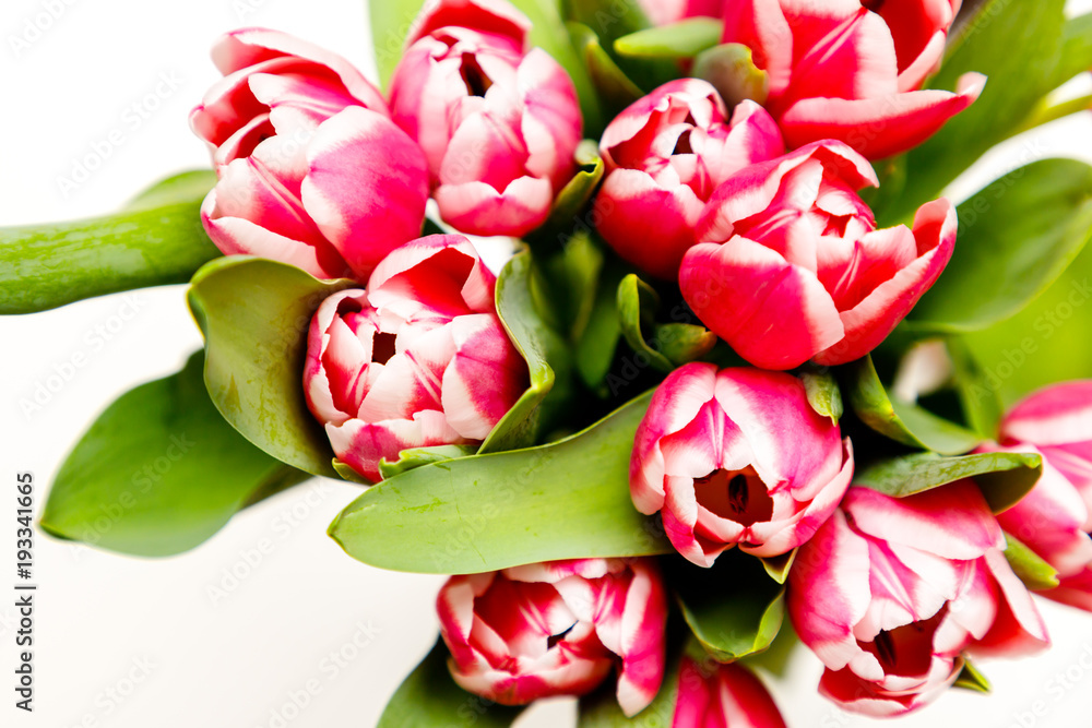 A bouquet of blooming tulips A bouquet of blooming tulips