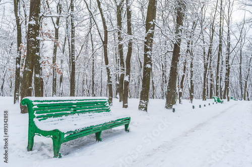 An empty bench in a winter park. An empty wooden bench in the park, all around in the snow. Snow-covered alley with empty benches.