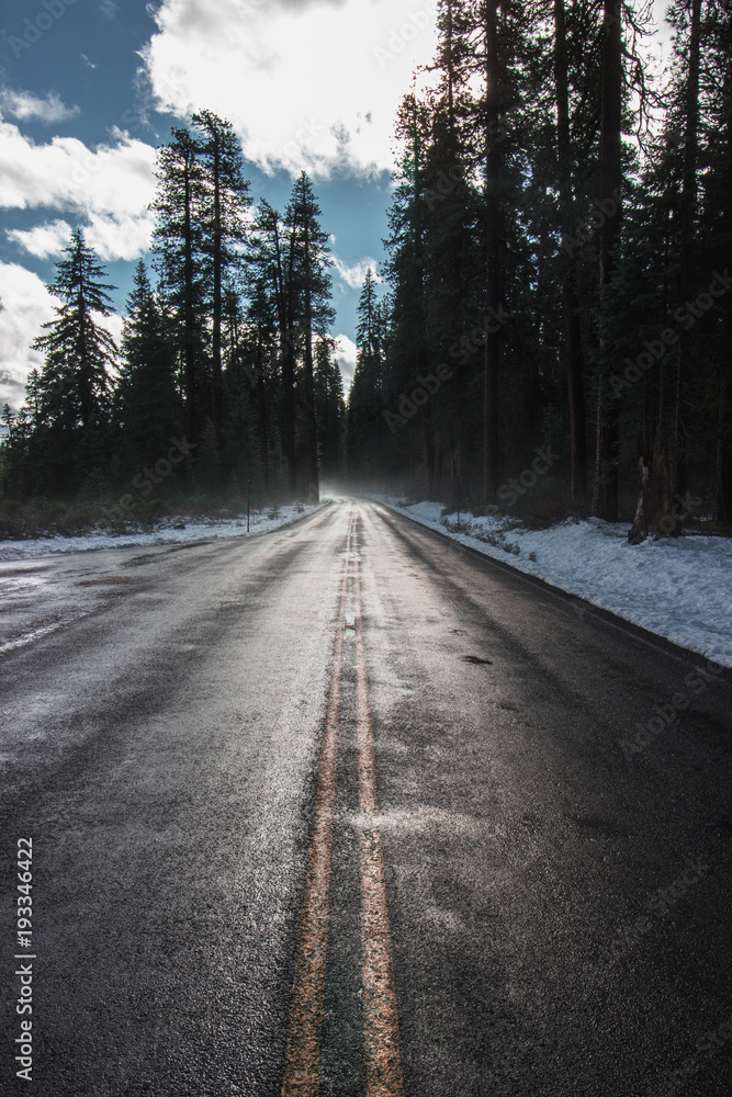 Snowy road on a cold morning.