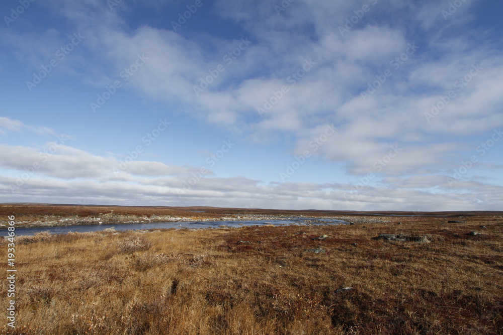 Flat arctic landscape in the summer with blue skies and soft clouds Flat arctic landscape in the summer with blue skies and soft clouds