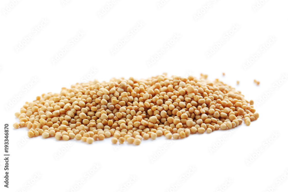 Obraz premium Mustard seeds isolated on a white background