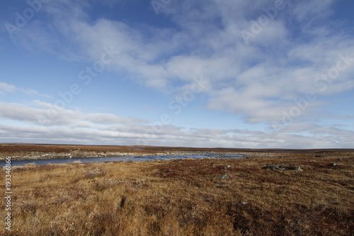 Flat arctic landscape in the summer with blue skies and soft clouds