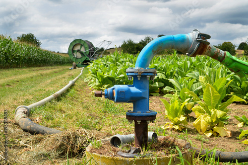 Agricultural irrigation system with a well of water, for the cultivation of corn and beet during the summer. photo