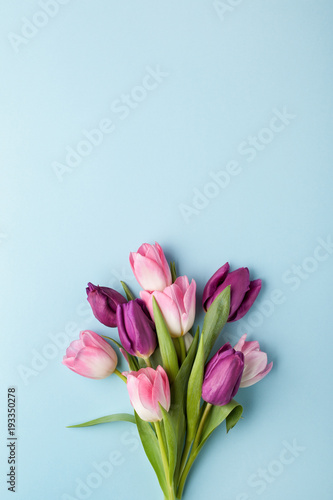 Fototapeta Naklejka Na Ścianę i Meble -  Pink and purple tulip flowers bouquet on blue background. Flat lay, top view.