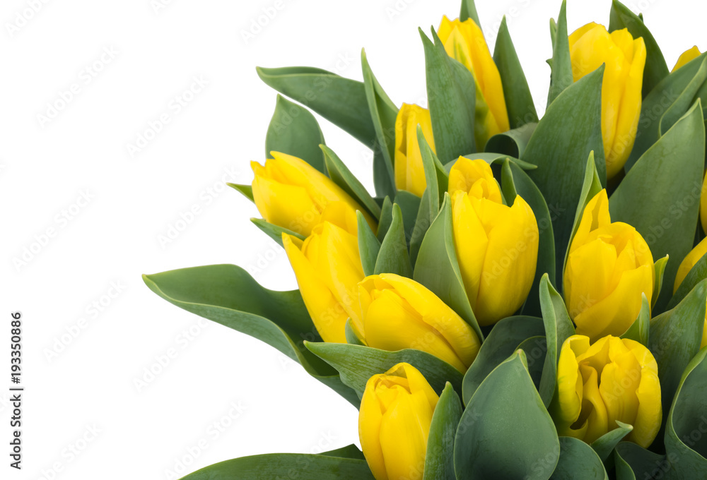 Bouquet of yellow tulips, copy space. Spring fresh flowers, mockup for mothers day, valentine or wedding greeting card Bouquet of yellow tulips, copy space. Spring fresh flowers, mockup for mothers day, valentine or wedding greeting card