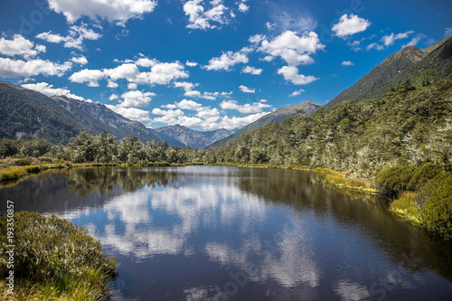 alpine landscape  forest  lake with reflection  lewis pass  new zealand