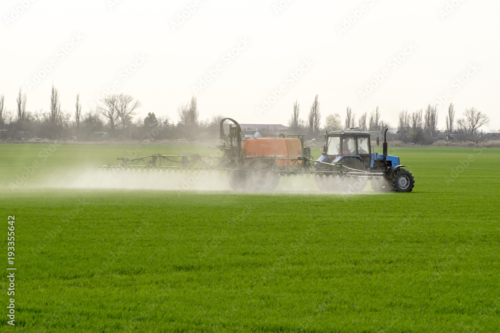 Fototapeta premium Tractor with high wheels is making fertilizer on young wheat. The use of finely dispersed spray chemicals. Tractor with a spray device for finely dispersed fertilizer.