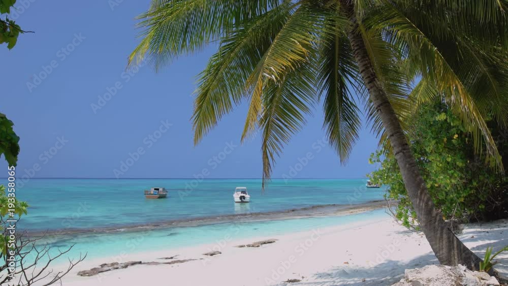 Yachts and speedboats shipping at the sea. View from Maldives island through coconut palm tree Yachts and speedboats shipping at the sea. View from Maldives island through coconut palm tree