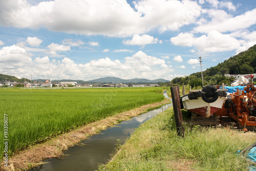 Okayama Rice Fields, Japan