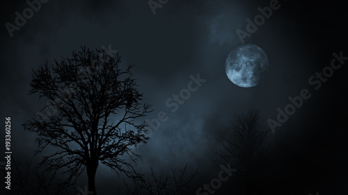 Canvas Print Full moon at night rising between evergreen tree forest with clouds 3d illustrat