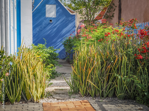   Walking around Penstraat street   Curacao views photo