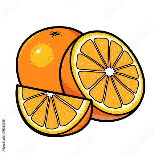 Orange fruits vector