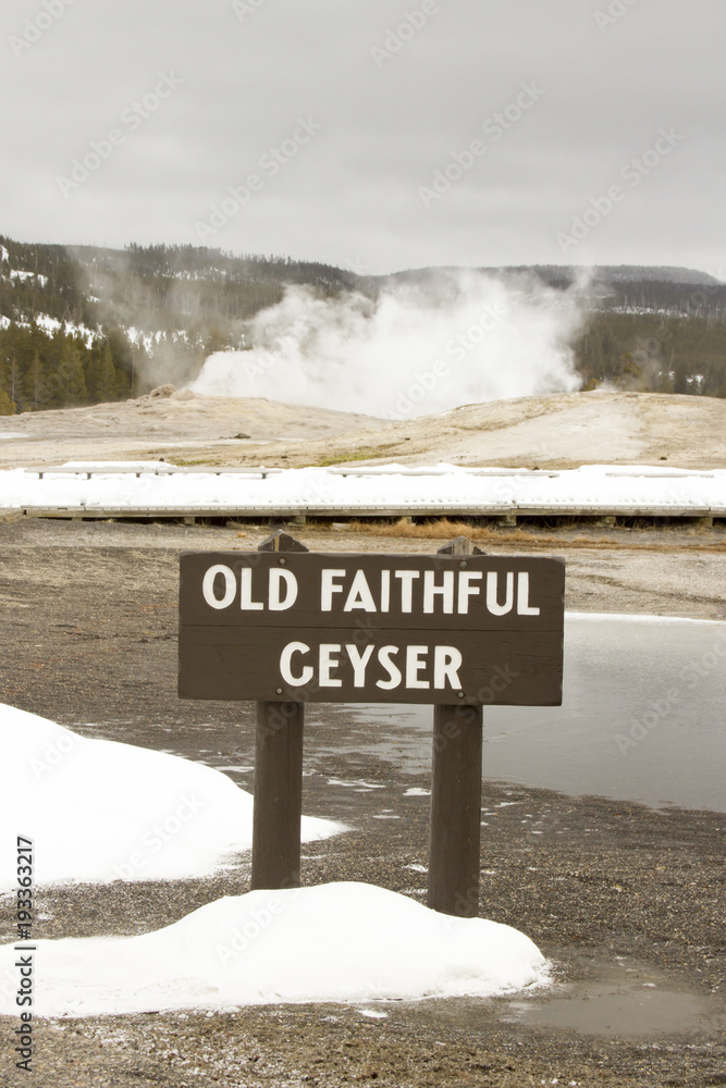 Fototapeta premium Old Faithful Geyser with sign, Yellowstone National Park, Wyoming