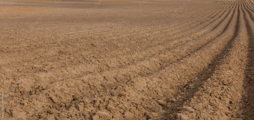 Cultivated seeding field ready for cultivation. Earth rows with seeding seed. Cultivated seeding field ready for cultivation. Earth rows with seeding seed.