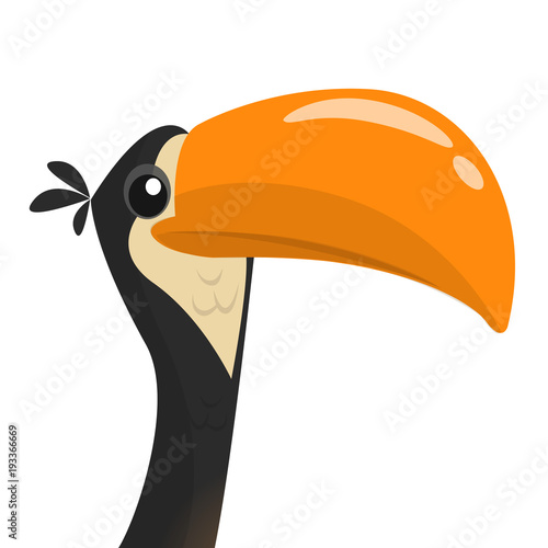 Funny toucan cartoon. Vector bird illustration