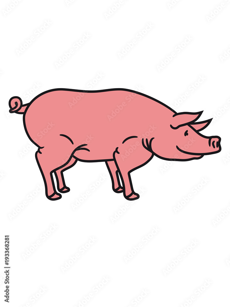 Fototapeta premium schwein seitlich süß niedlich comic cartoon lachen clipart