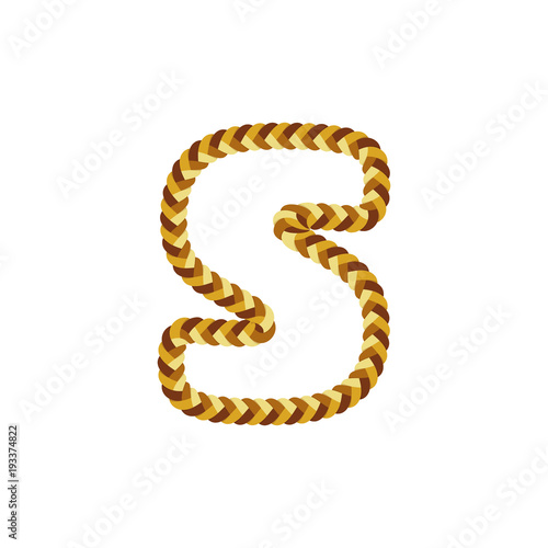 S Braid Letter Logo Icon Design