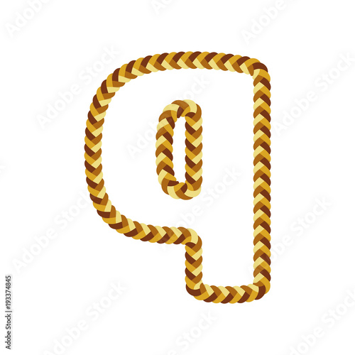 Q Braid Letter Logo Icon Design