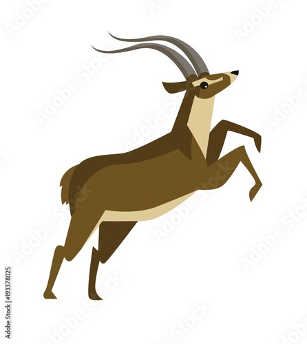 gazelle running