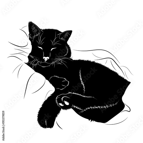 Векторный рисунок. Черный силуэт спящего кота