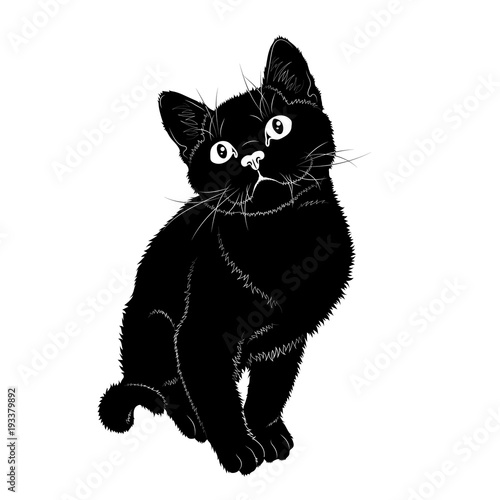 Векторный рисунок. Чёрный силуэт сидящего котёнка
