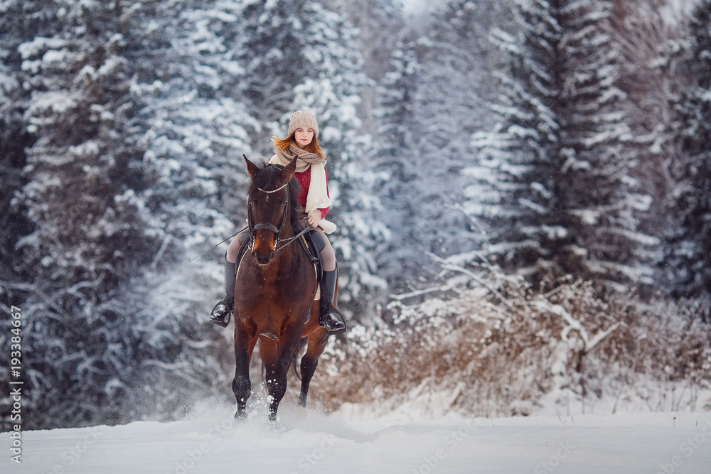 Rider young girl jumps over snow on brown horse over winter forest Rider young girl jumps over snow on brown horse over winter forest