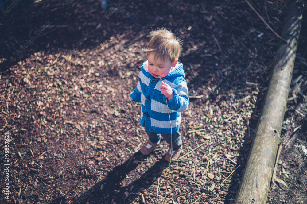 Cute little boy exploring nature Cute little boy exploring nature