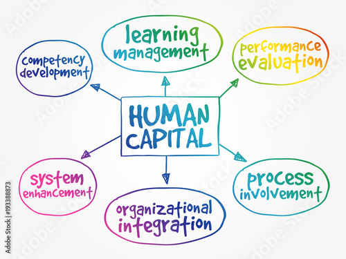 Human capital mind map, business management strategy concept