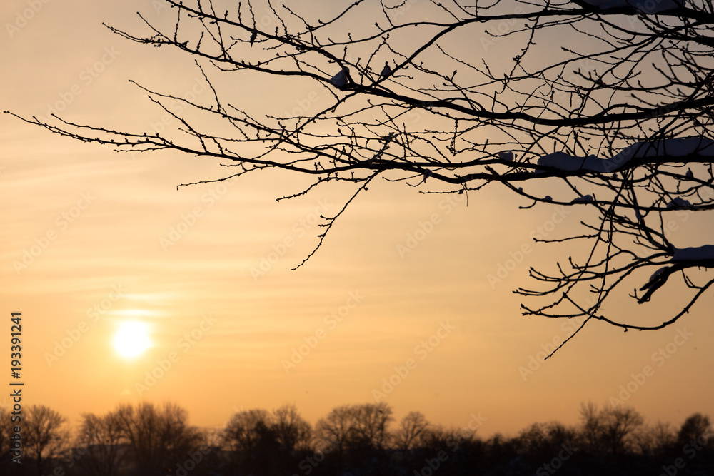 Obraz premium Winterly sunset, Vienna, Austria