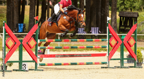 horse in jumping tournament, over or between jumps..