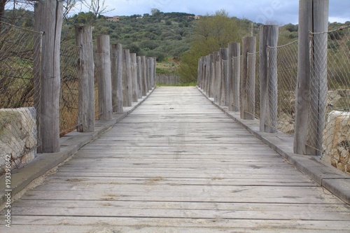Wood bridge in corsican beach