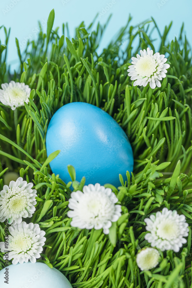Closeup of painted easter egg placed on grass with camomiles, easter concept Closeup of painted easter egg placed on grass with camomiles, easter concept