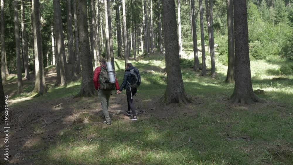 Young couple with backpacks holding hands trekking on forest path looking for a suitable place to camp Young couple with backpacks holding hands trekking on forest path looking for a suitable place to camp