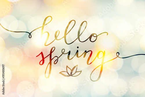 hello spring, vector lettering and flower, spring card with handwritten text