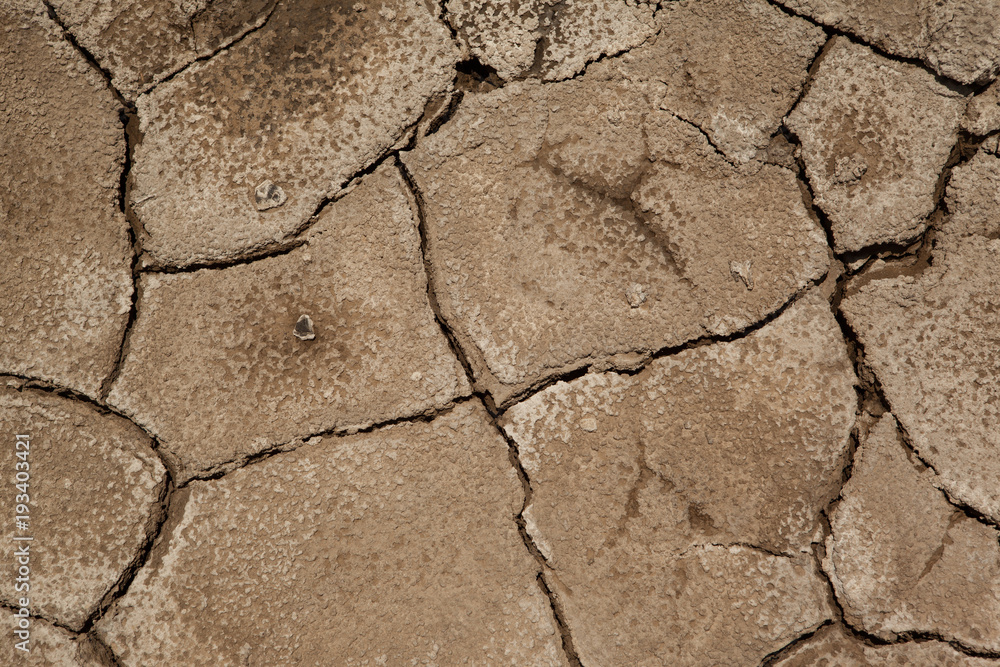 Obraz premium Pattern of a cracked arid ground