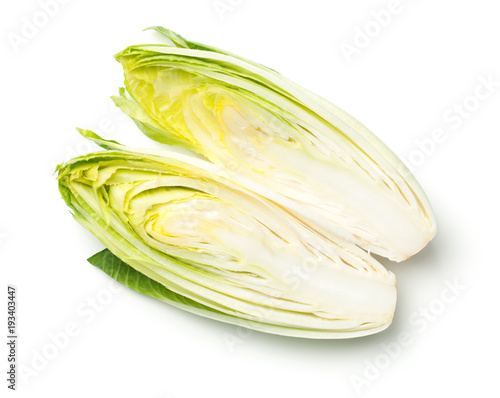 Chicory Isolated on White Background